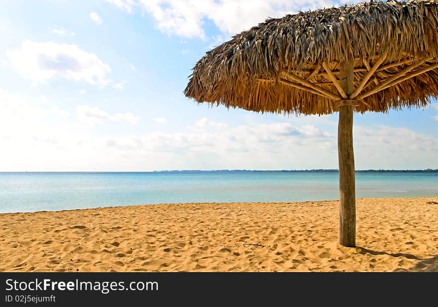 Beach umbrella