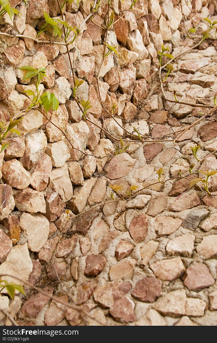 Red brick wall: can be used as background