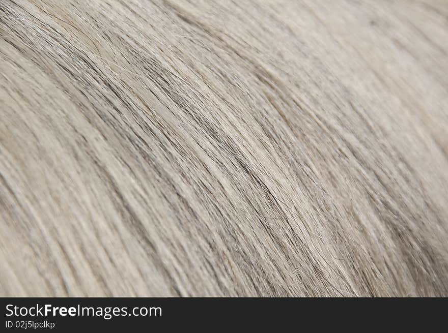 Grey, white and dark hairs of horse, close-up, background. Grey, white and dark hairs of horse, close-up, background