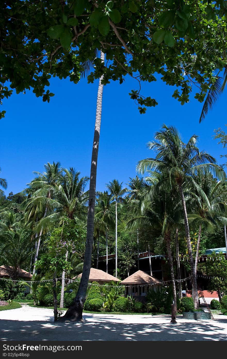 Tropical resort in southern of Thailand. Tropical resort in southern of Thailand.