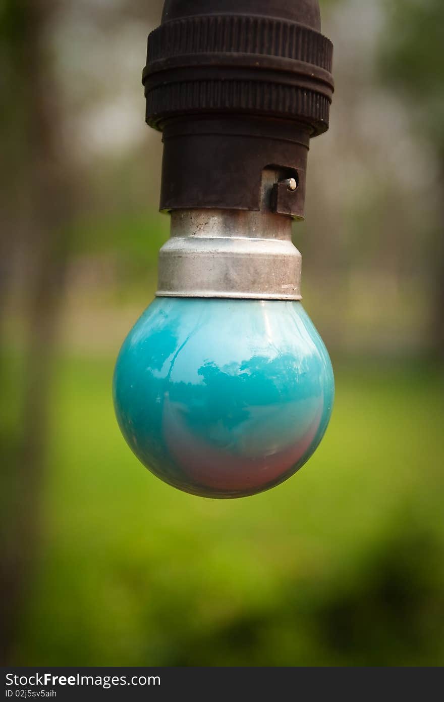 Bulb