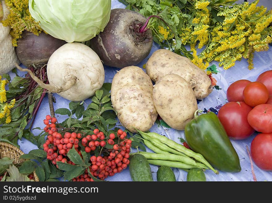 Vegetables - tomateoes, Potato, and mountain ash