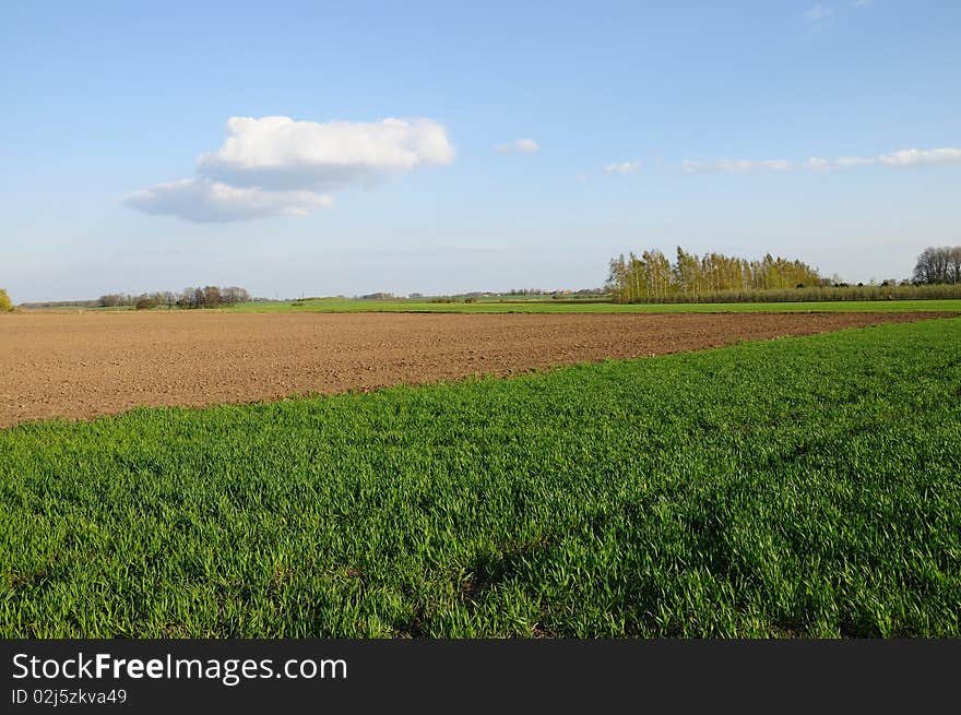 Landscape view showing the fields and a sky