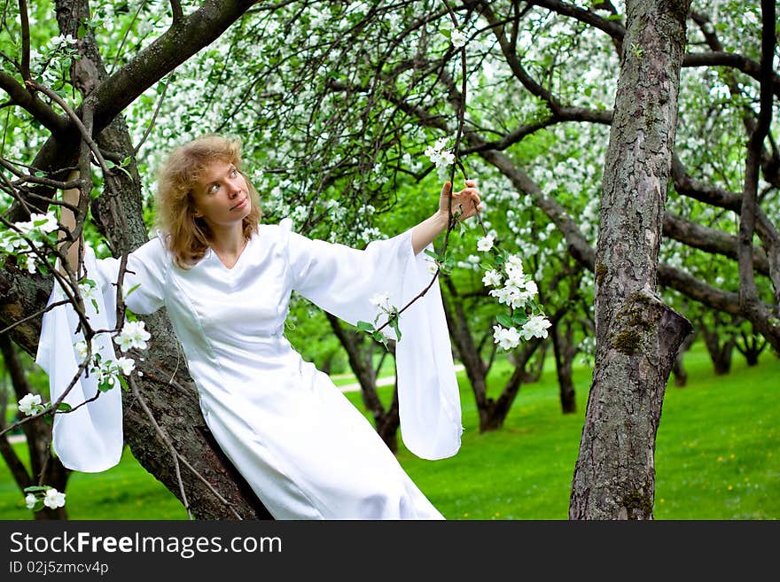 The blonde girl in white dress sittng on apple-tree with white flowers. The blonde girl in white dress sittng on apple-tree with white flowers