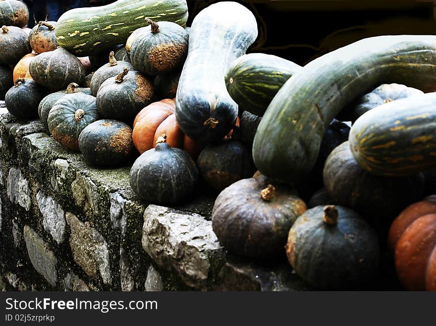 Pumpkins in a row