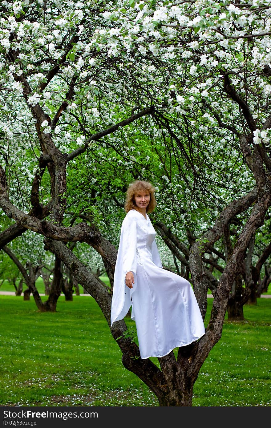 The blonde girl in white dress sittng on apple-tree with white flowers. The blonde girl in white dress sittng on apple-tree with white flowers