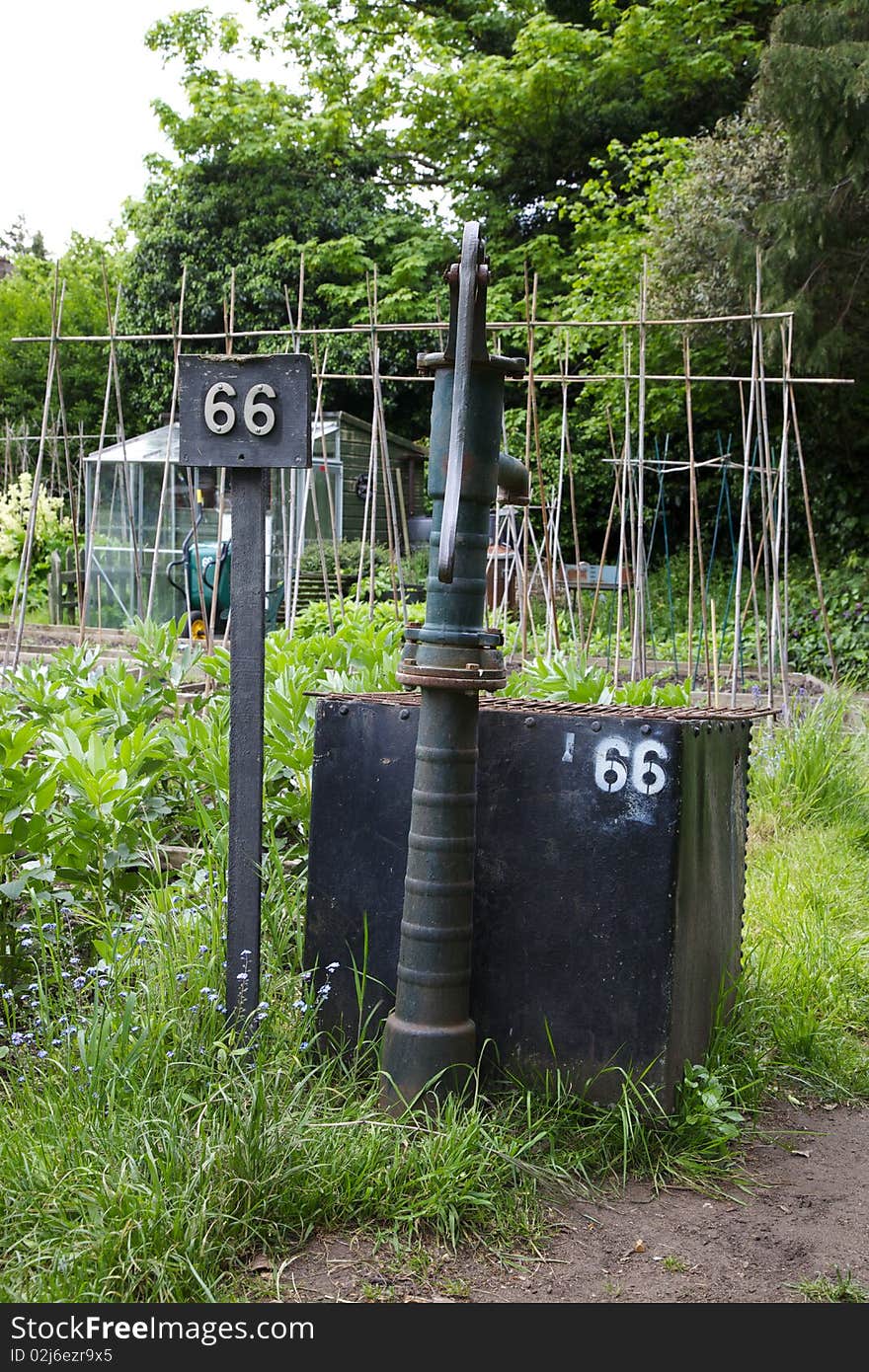 Typical scene in an Allotment