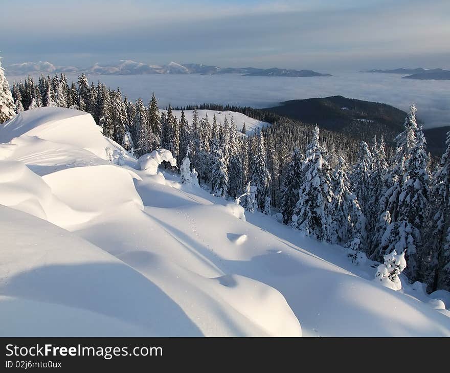 Winter hillside