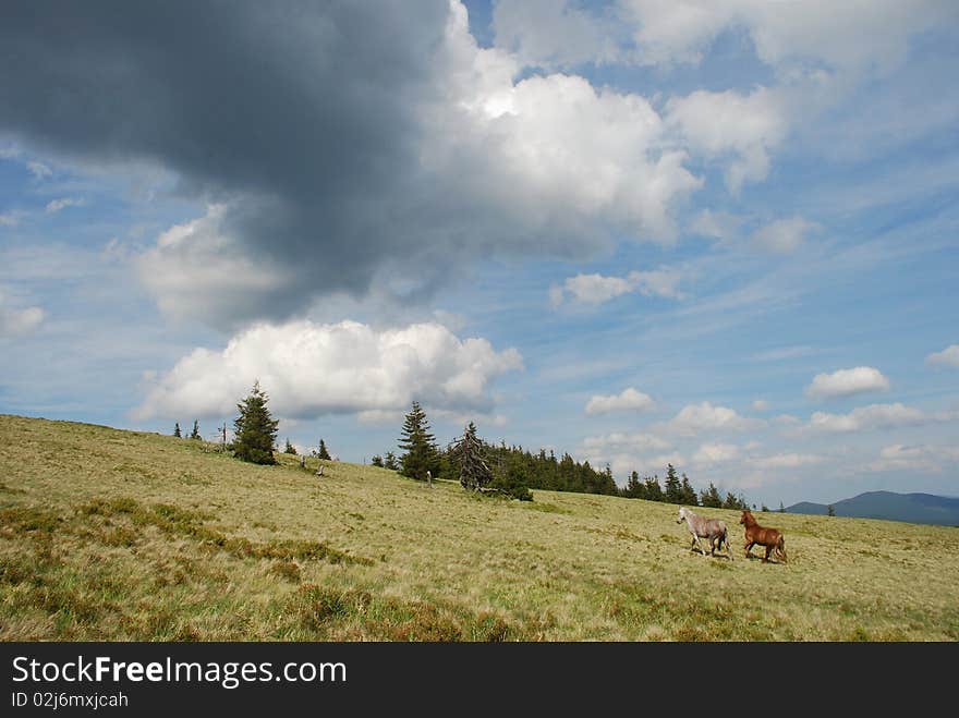 Horses in mountains under huge clouds