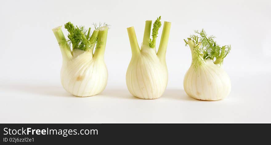 Fresh fennel