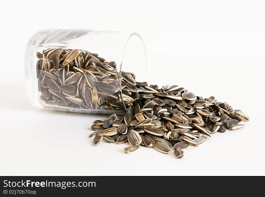 Handful of sunflower seeds