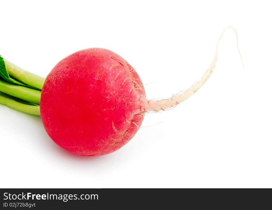 Fresh radish isolated on white