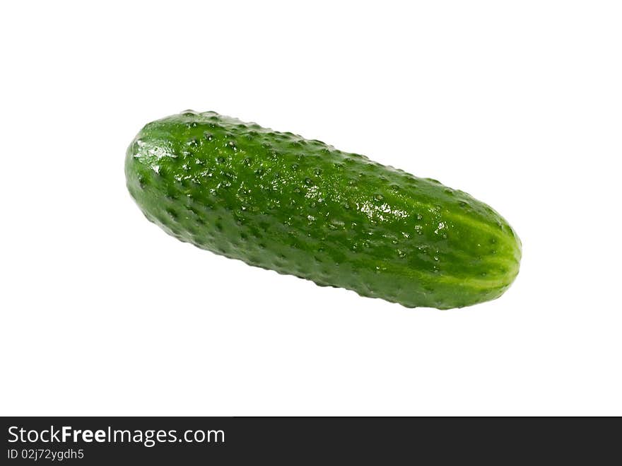 Cucumber