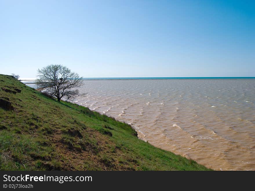 Beautiful landscape with lonely tree on the hill