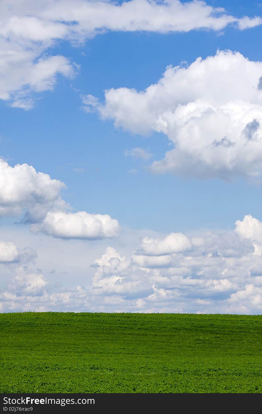 A beautiful green field with white clouds