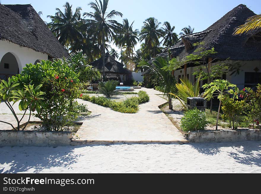 The pool area of a beach resort on a palm-fringed beach in Zanzibar. The pool area of a beach resort on a palm-fringed beach in Zanzibar