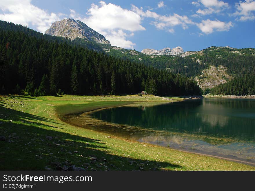 Nature background with forest and clouds. Nature background with forest and clouds