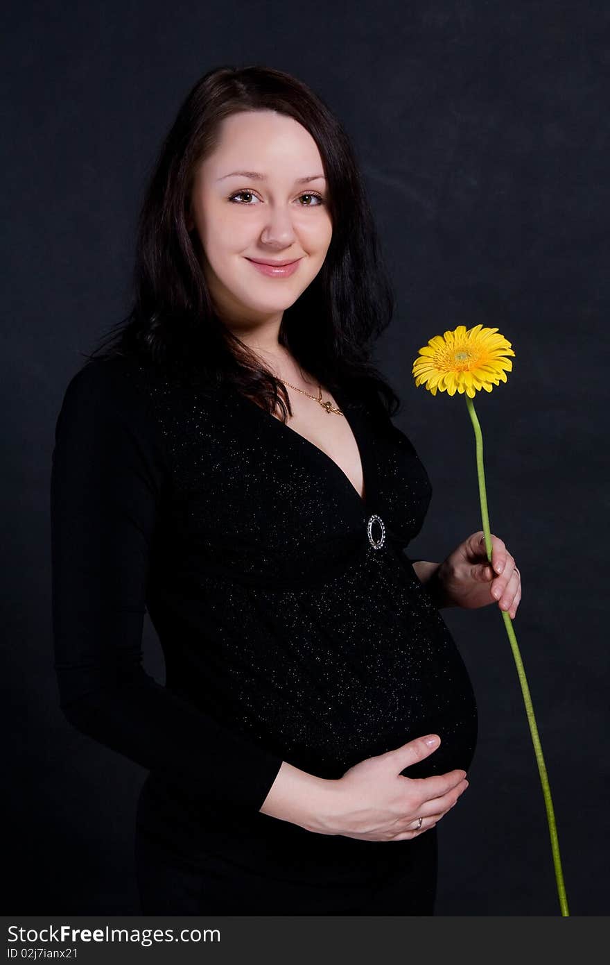 Pregnant woman holding a gerbera flower. Pregnant woman holding a gerbera flower