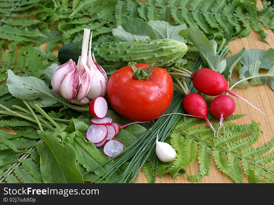 Spring vegetables-palatable and profitable food for yours health