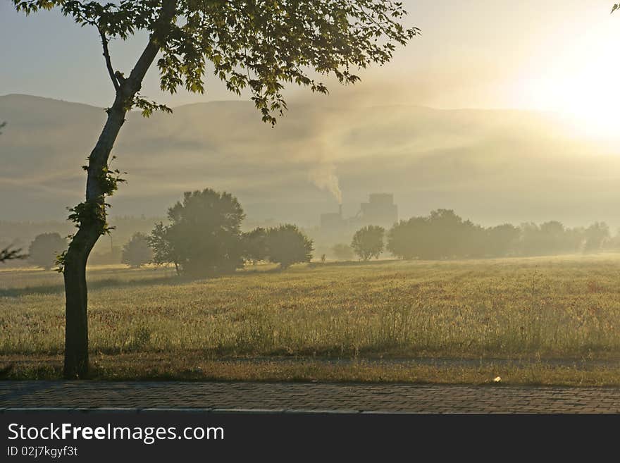 Morning of new day. Silence over a field. Morning of new day. Silence over a field.