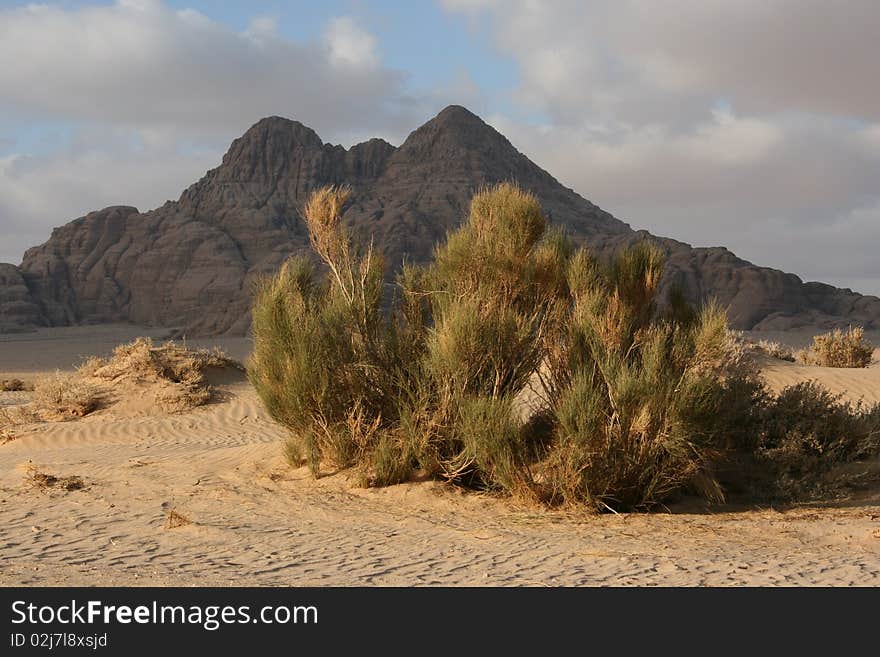 Asia,Jordan desert Wadi Rum rocks and sandy. Asia,Jordan desert Wadi Rum rocks and sandy