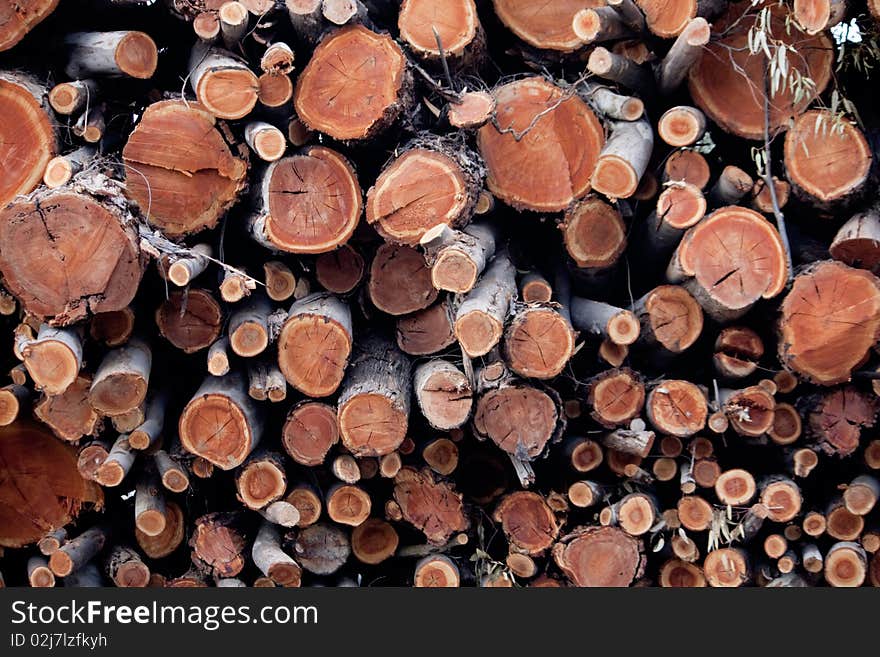 View of a pile of wooden logs, result of the timber industry.