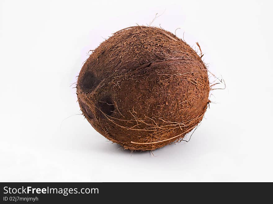 Single Coconut Isolated On White