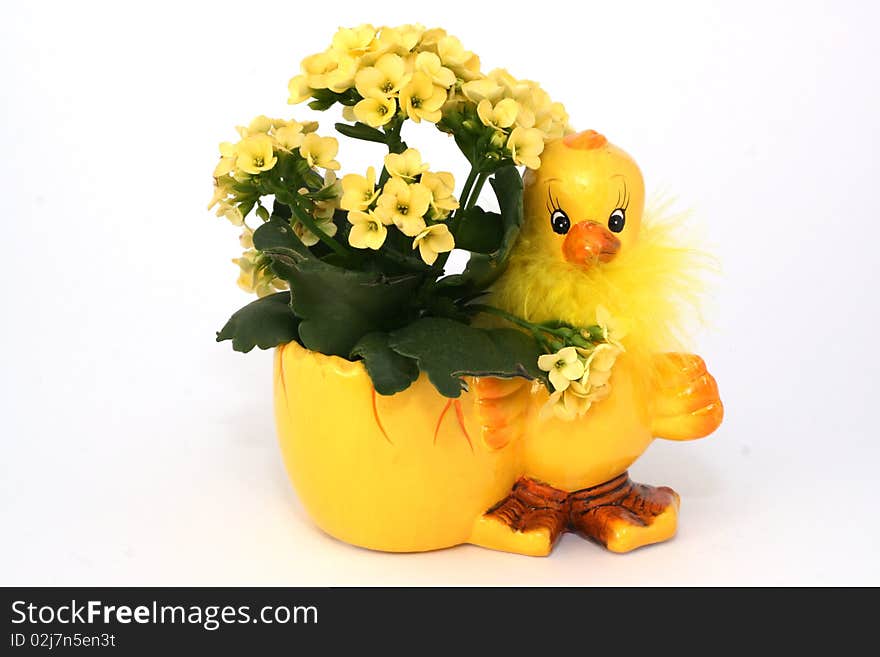 Easter Chick with bÃ¼henden yellow flowers all held,Easter Chick with flowers