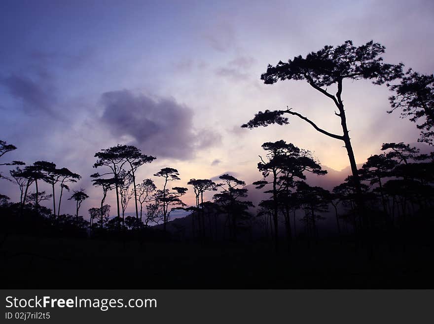 Phu Soi Dao National Park, Thailand. Phu Soi Dao National Park, Thailand