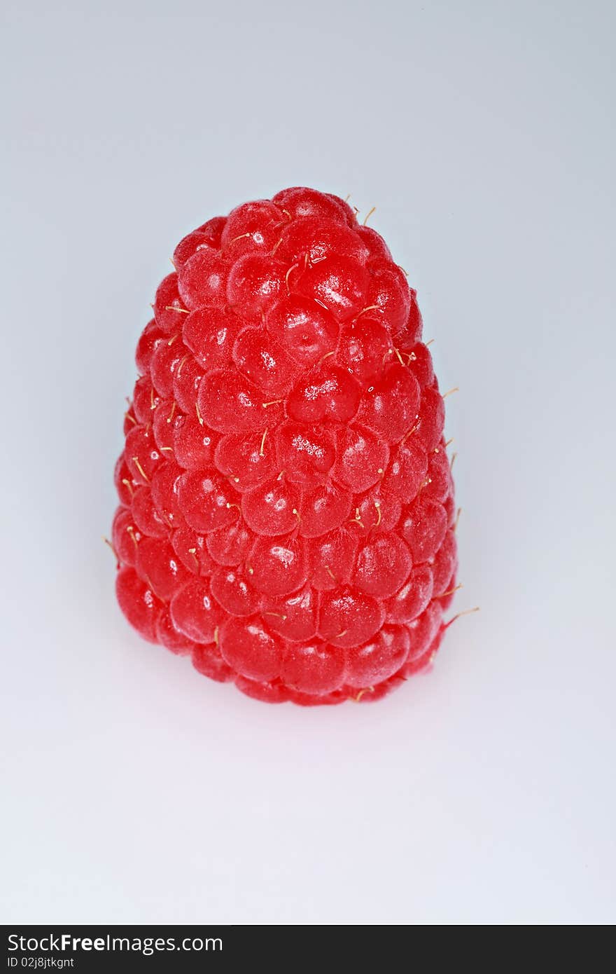 Single ripe raspberry