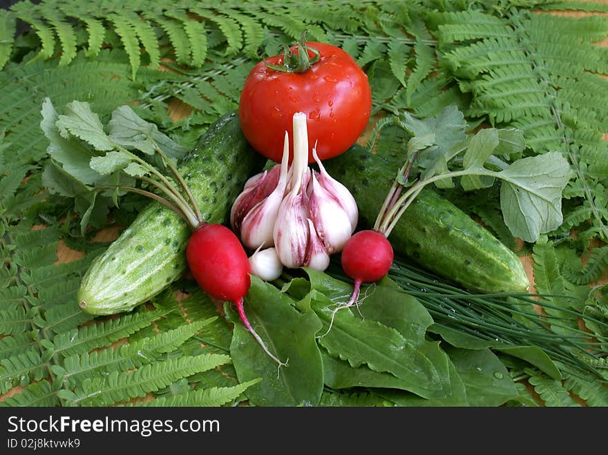 Spring vegetables