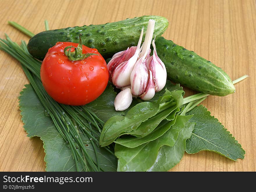 Spring vegetables-palatable and profitable food for yours health