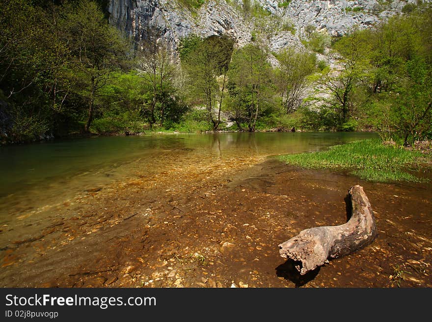 Stream in the mountains in spring