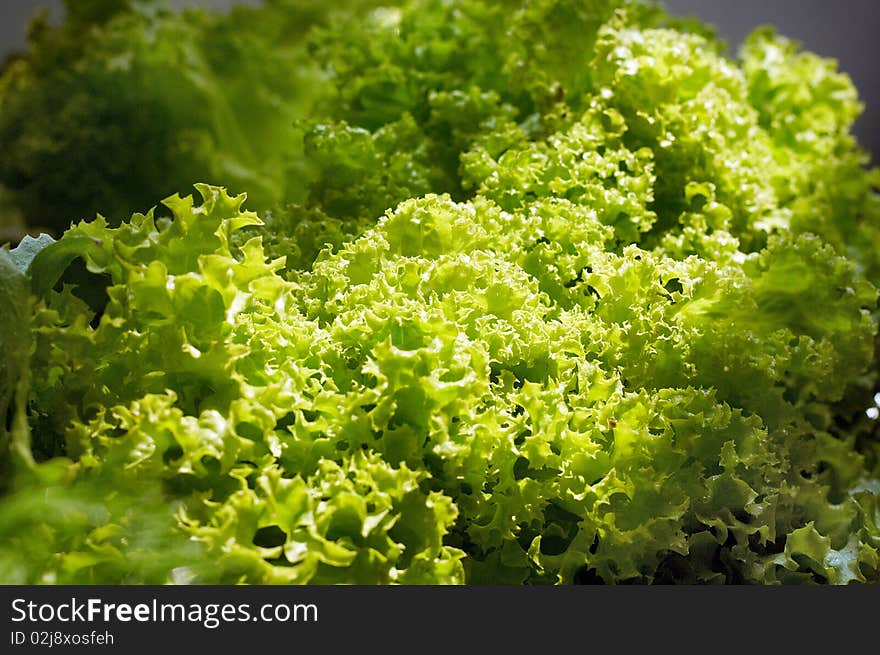 Green Salad Background