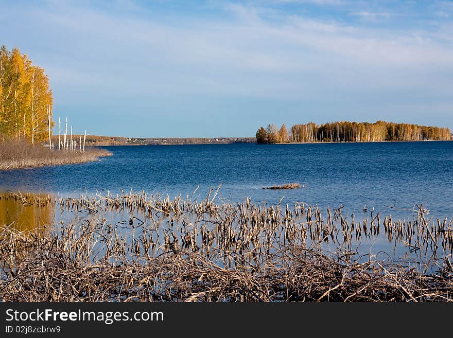 Lake with yellow trees, blue sky and lifeless branches in water. Lake with yellow trees, blue sky and lifeless branches in water