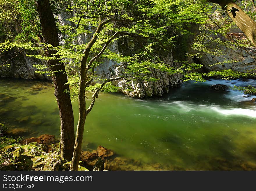 Stream in the mountains in spring