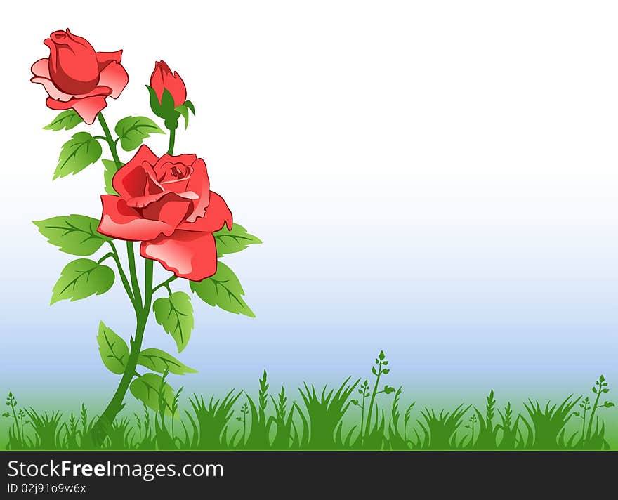 Natural background with red rose and grass