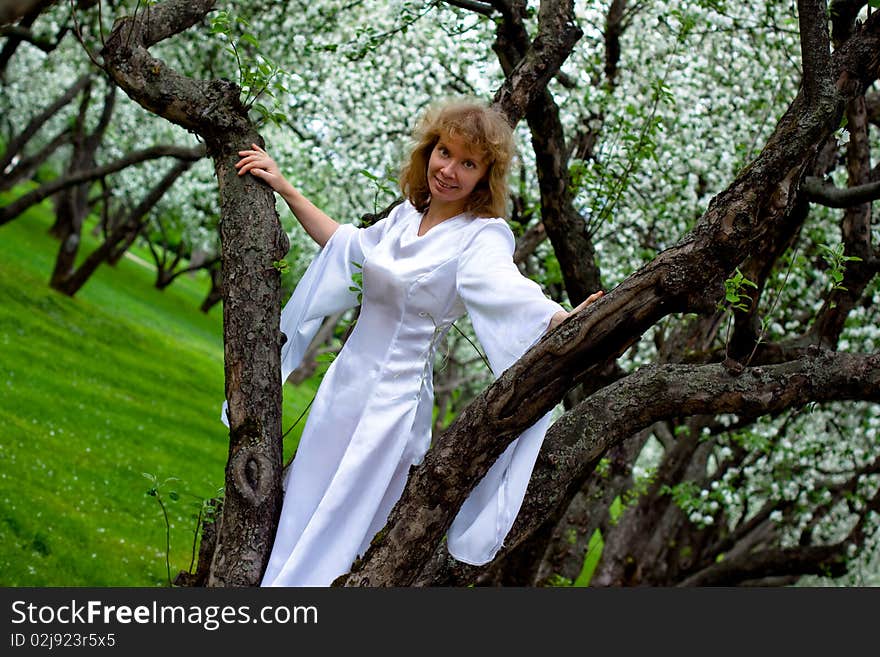 The blonde girl in white dress standing on apple-tree with white flowers. The blonde girl in white dress standing on apple-tree with white flowers