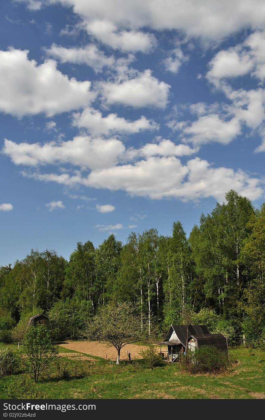 Old shacks at forest background