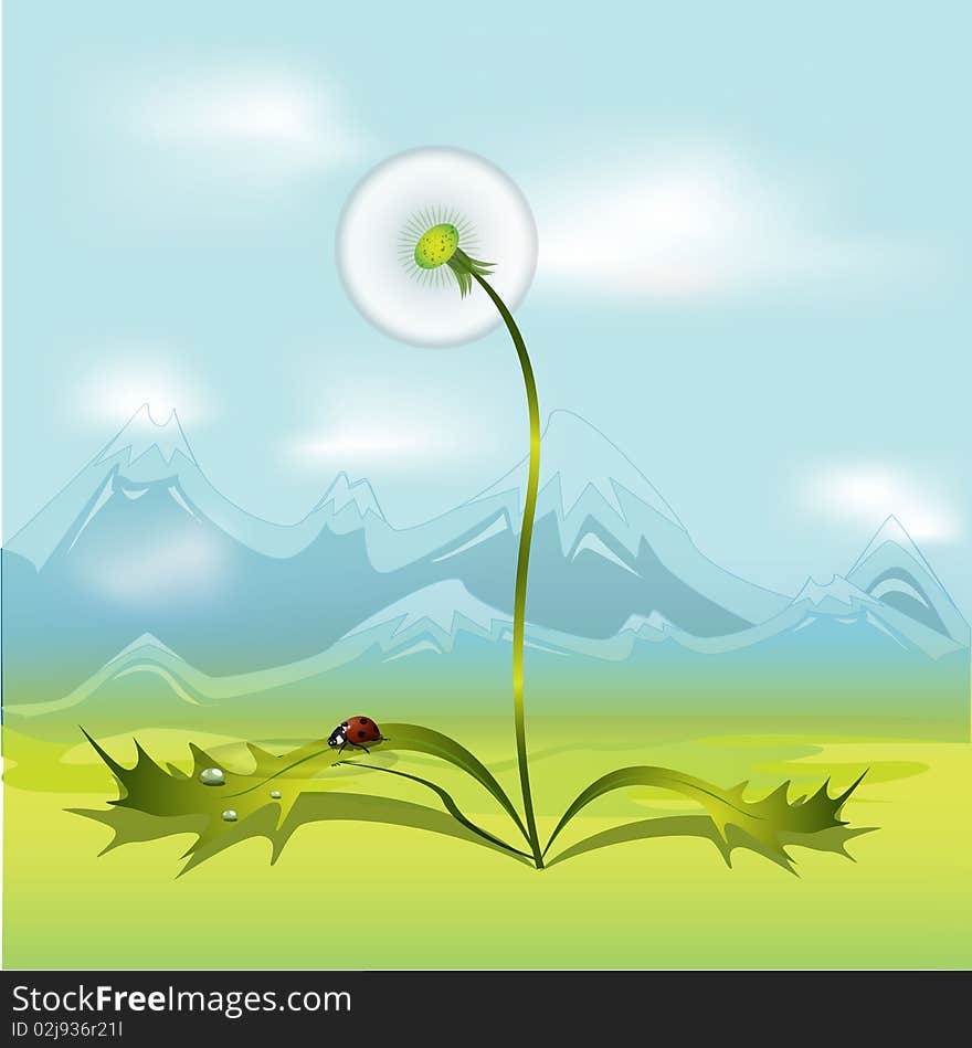 Illustration, feathery dandelion on green background and Ladybird
