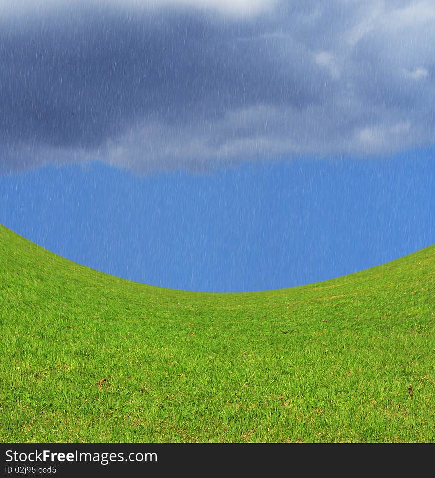 Field of green grass. Sky. Rain. Field of green grass. Sky. Rain