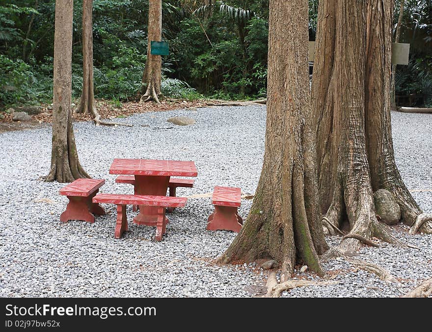 Medium red table trees