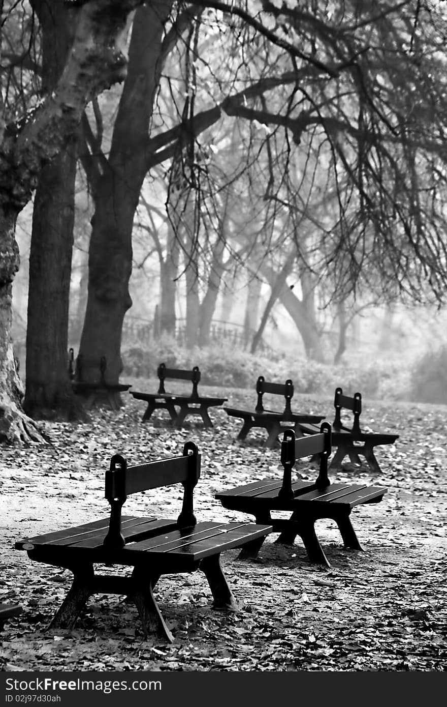 Benches in the park