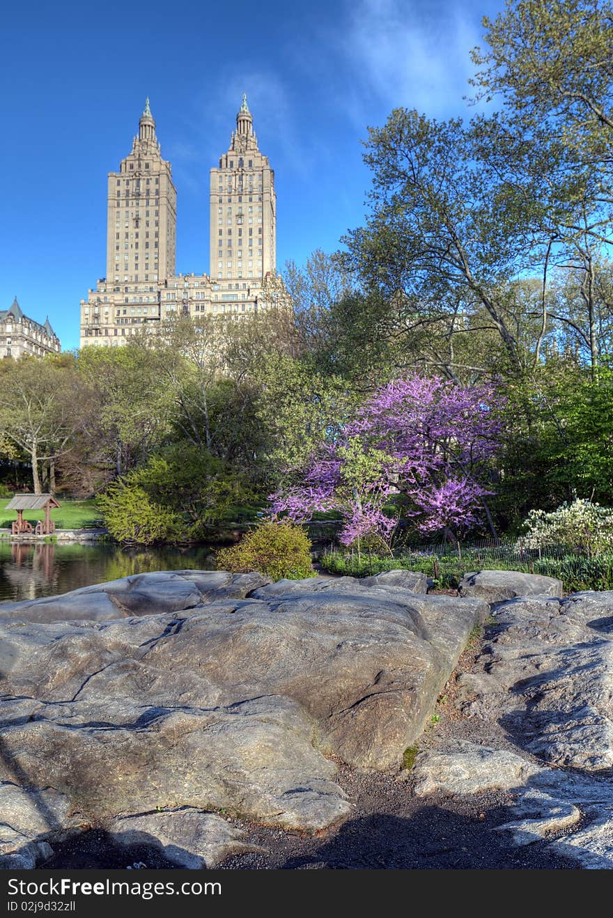 Spring in Central Park on the lake in early morning. Spring in Central Park on the lake in early morning