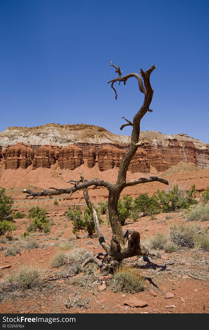 Dead tree in front of rock formations of Capitol Reef, USA