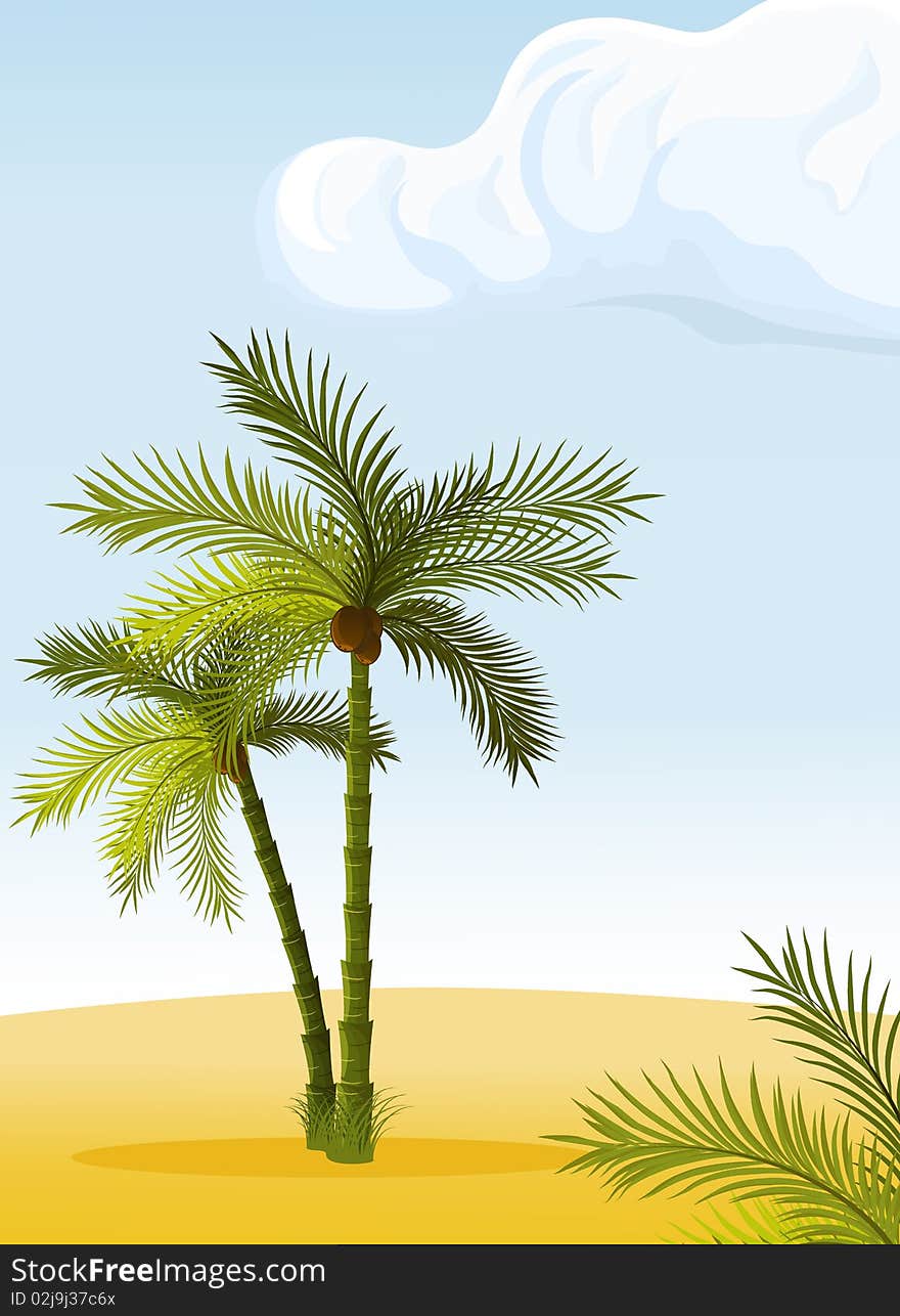 Two Palm-tree