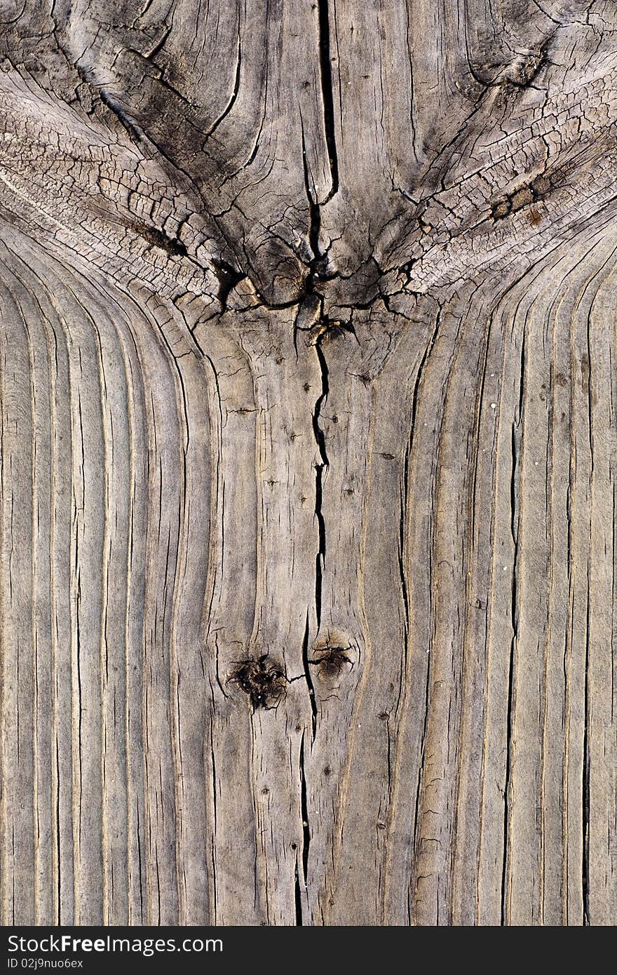 Close up view of some old texture of a wooden board. Close up view of some old texture of a wooden board.