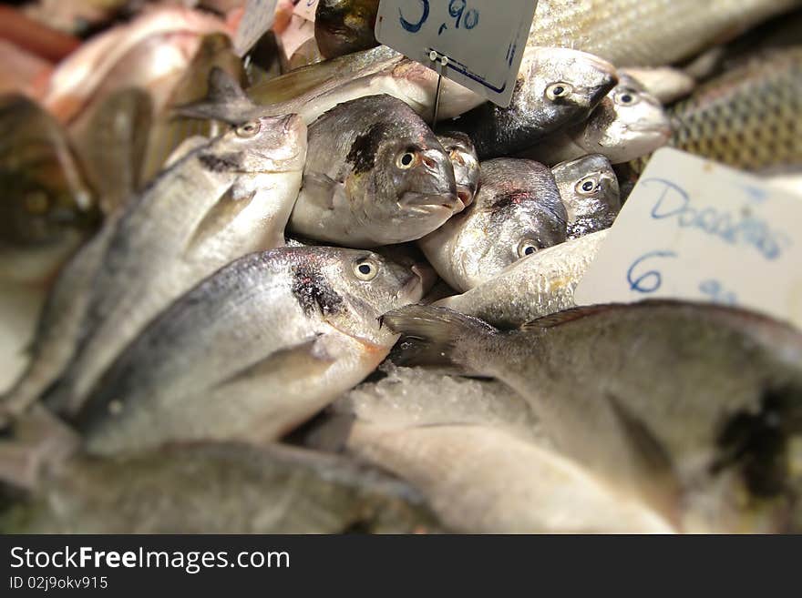 Fresh Doarde fish on a french market