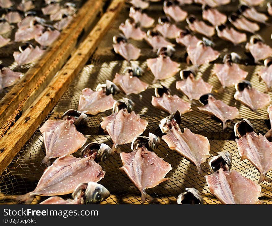 fish drying in the sun on the beach