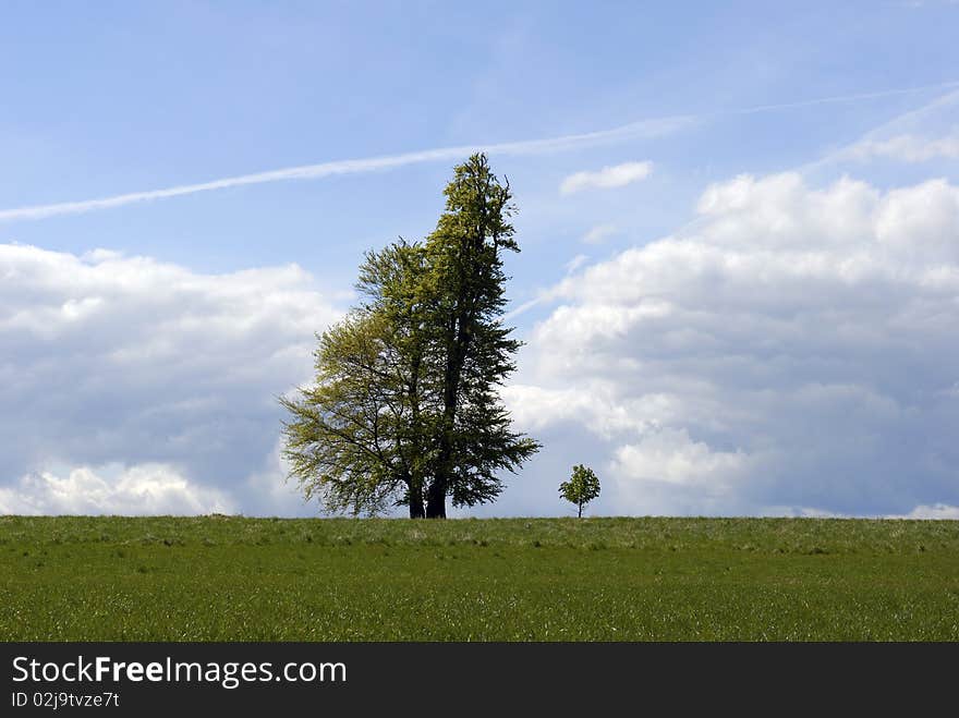 Two trees